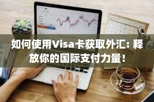 如何使用Visa卡获取外汇: 释放你的国际支付力量！