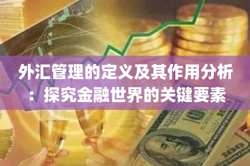 外汇管理的定义及其作用分析：探究金融世界的关键要素
