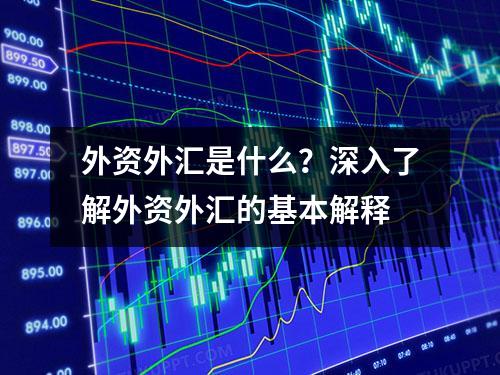 外资外汇是什么？深入了解外资外汇的基本解释